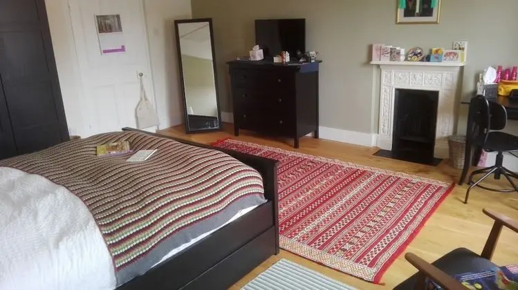 Comfort Çatı Katı Süiti (Penthouse), 1 En Büyük (King) Boy Yatak, Şehir Manzaralı