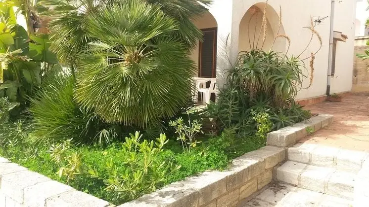 Ev, 1 Yatak Odası, Balkon