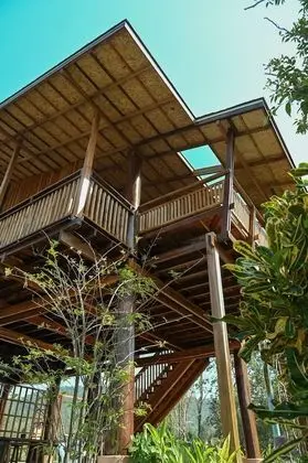 Family Dört Kişilik Oda