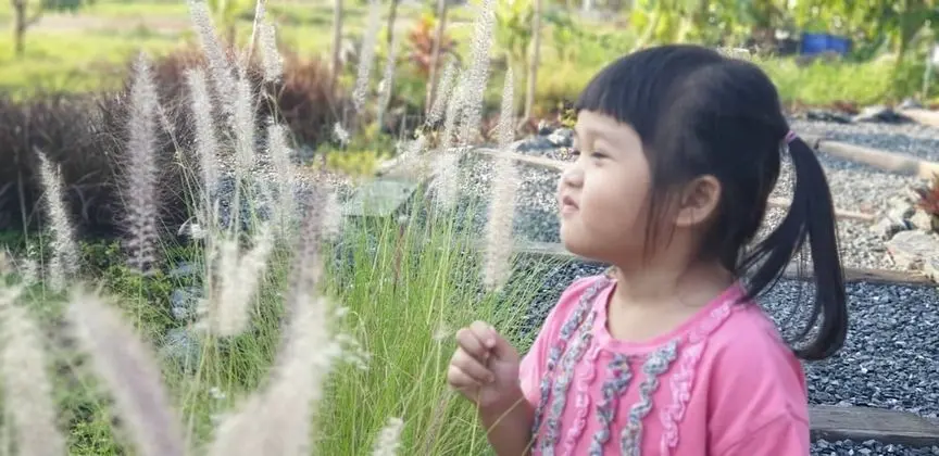 Family Dört Kişilik Oda