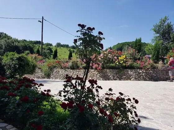Standard Tek Büyük Yataklı Oda, 1 Büyük (Queen) Boy Yatak, Dağ Manzaralı