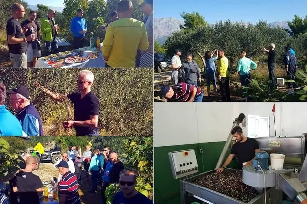 Stüdyo, Engellilere Uygun, Balkon