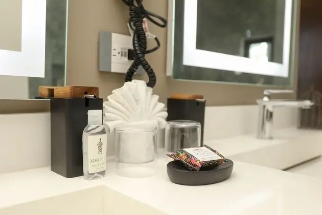 King Suite with Bathtub