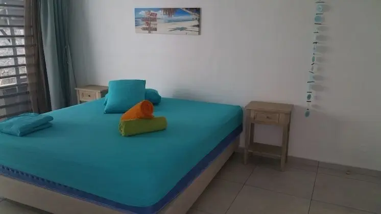 Tek Büyük Yataklı Oda, Özel Banyo, Bahçe Manzaralı (Fakarava Room)