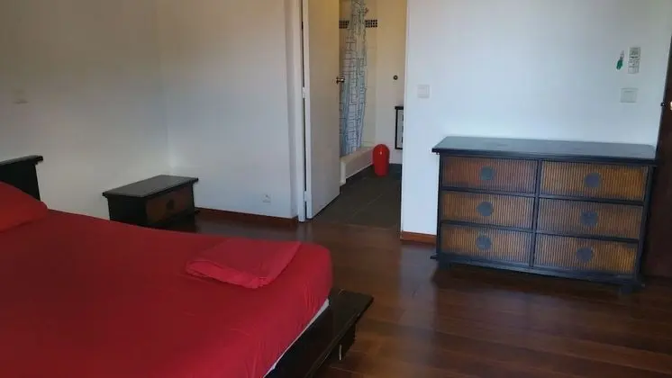 Tek Büyük Yataklı Oda, Özel Banyo (Hibiscus Room)