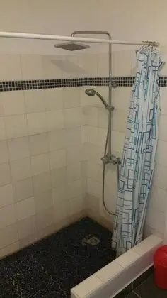 Tek Büyük Yataklı Oda, Özel Banyo (Hibiscus Room)