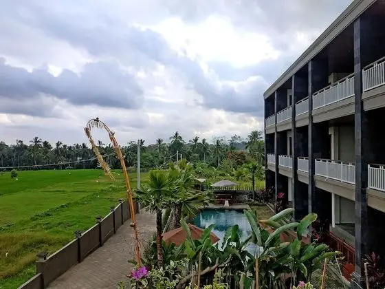 Süit, Balkon (with Rice Field View)