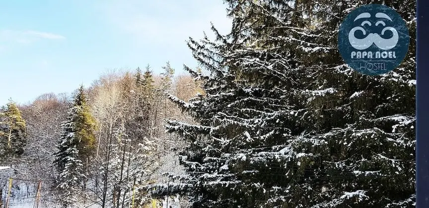 Comfort Ortak Ranzalı Oda, Karma Ranzalı Oda, Dağ Manzaralı (A3)