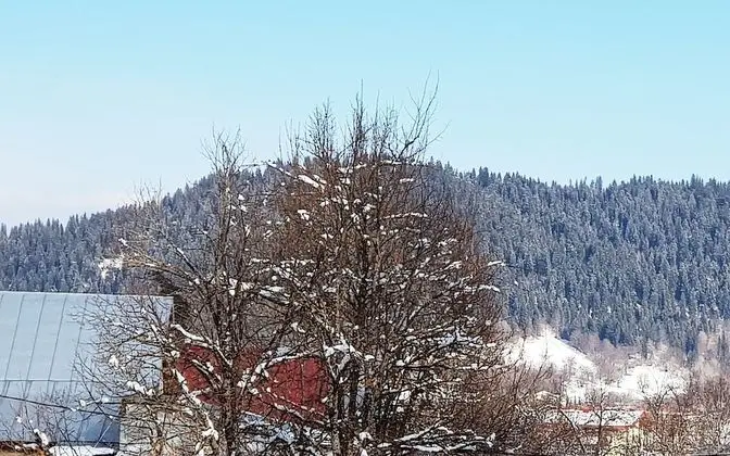 Comfort Ortak Ranzalı Oda, Karma Ranzalı Oda, Dağ Manzaralı (A3)