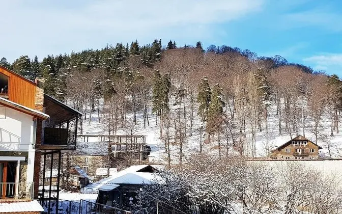 Superior Ortak Ranzalı Oda, Sadece kadınlar için, Dağ Manzaralı (A1)
