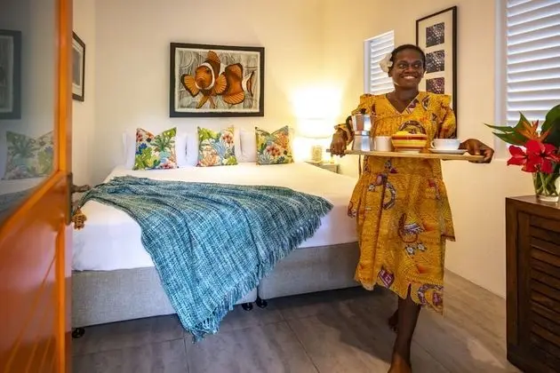 Tek Büyük Yataklı Oda, Özel Banyo (Hibiscus Room)