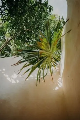Casa Coco
