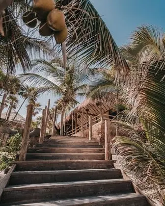 Casa Palma