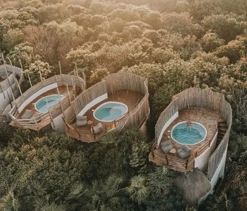 Casita Jungle Rooftop Pool
