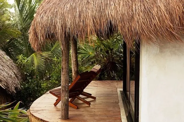 Casita Jungle Rooftop Pool