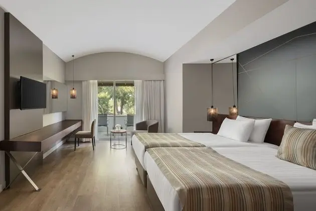 Deluxe Villa