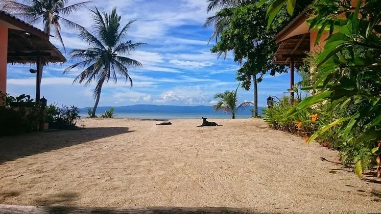 Deluxe Bungalov, 1 Yatak Odası, Kısmi Deniz Manzaralı
