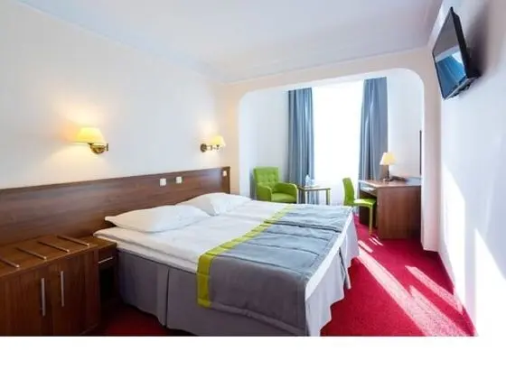 Standard Tek Büyük Yataklı Oda (Plus)