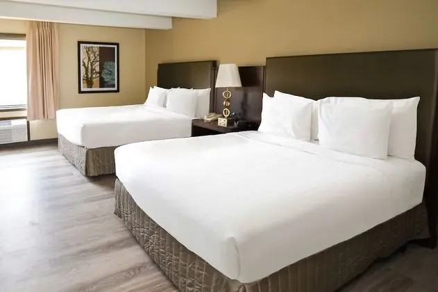 Deluxe Oda, 2 Büyük (Queen) Boy Yatak