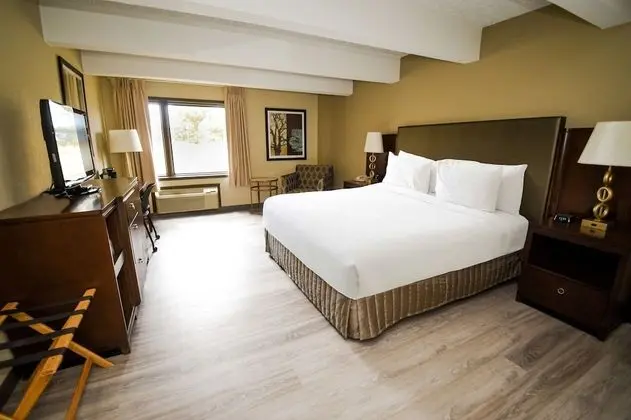 Premium Süit, 1 En Büyük (King) Boy Yatak