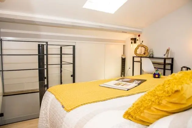 Business Tek Büyük veya İki Ayrı Yataklı Oda, 1 Yatak Odası (Jaune)