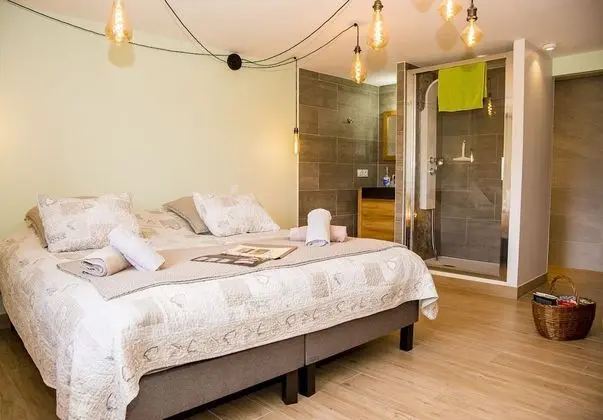 Design Tek Büyük Yataklı Oda, 1 Yatak Odası, Bahçe Manzaralı (Bleue)