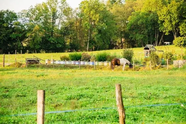 Design Tek Büyük Yataklı Oda, 1 Yatak Odası, Bahçe Manzaralı (Bleue)