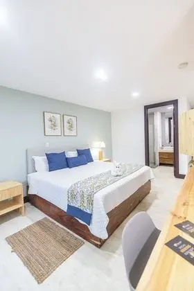 Deluxe Stüdyo Süit, 1 Yatak Odası, Engellilere Uygun