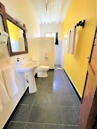 Süit