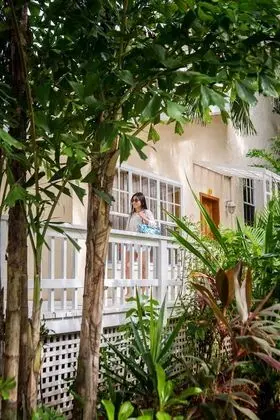Three Bedroom Villa