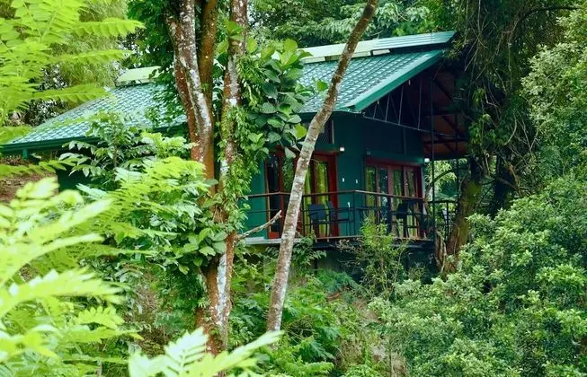 Standard Tek Büyük veya İki Ayrı Yataklı Oda, 1 En Büyük (King) Boy Yatak, Dağ Manzaralı, Bahçeli