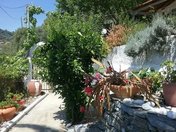 Kır Evi, Birden Çok Yatak