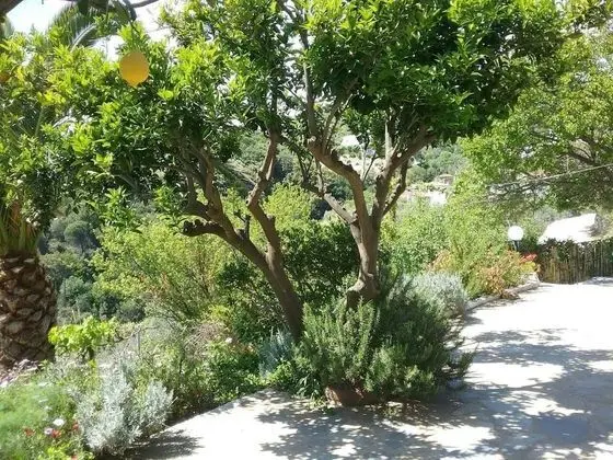 Kır Evi, Birden Çok Yatak