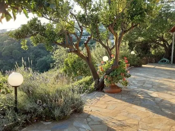 Kır Evi, Birden Çok Yatak
