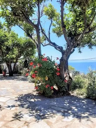Kır Evi, Birden Çok Yatak