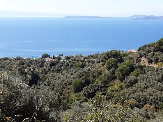 Kır Evi, Birden Çok Yatak