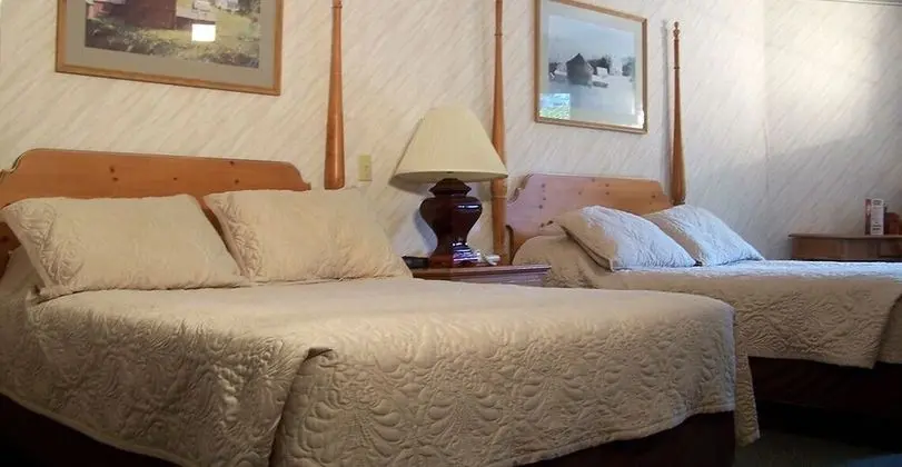 Premier Room 2 Double Beds