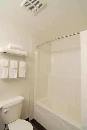 Süit