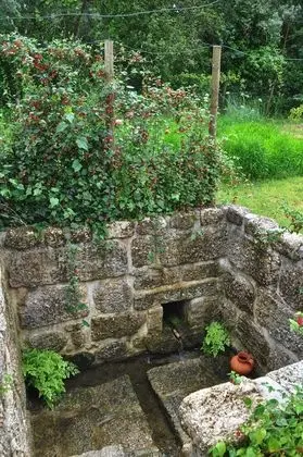Oda, 1 Yatak Odası, Engellilere Uygun, Şömine