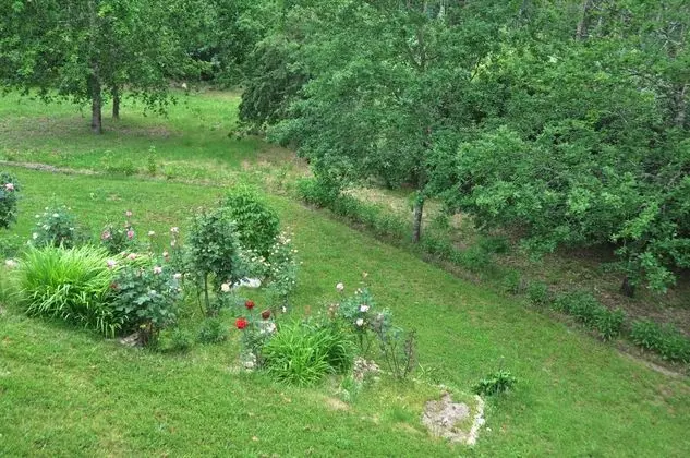 Oda, 1 Yatak Odası, Engellilere Uygun, Şömine