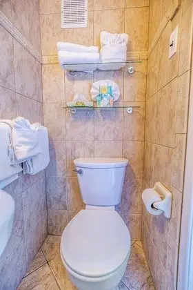 Basic Stüdyo, 1 En Büyük (King) Boy Yatak ve Çekyat, Küçük Mutfak