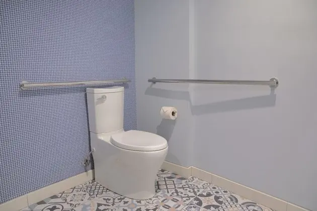 Oda, 1 En Büyük (King) Boy Yatak (Accessible Shower-Tub)