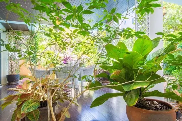 Family Villa, 6 Yatak Odası, Kişiye Özel Havuzlu, Havuz Manzaralı