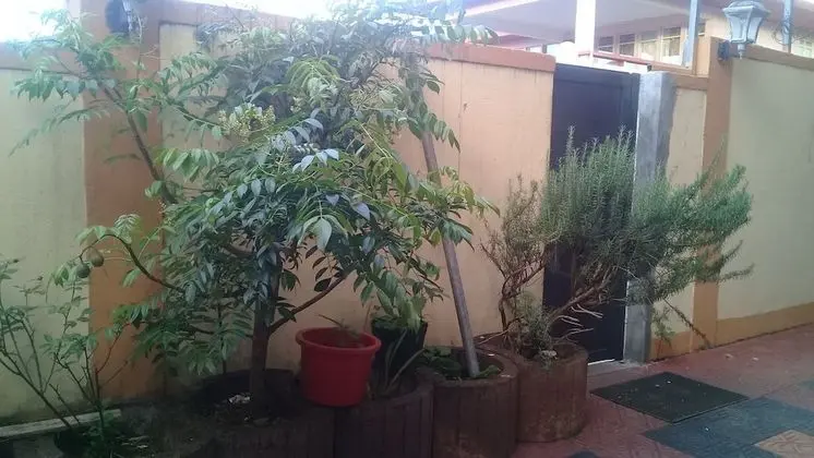 Ev, 2 Yatak Odası, Engellilere Uygun, Teras