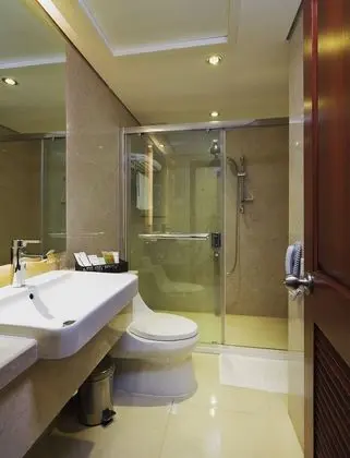 Premium Tek Büyük Yataklı Oda, Şehir Manzaralı