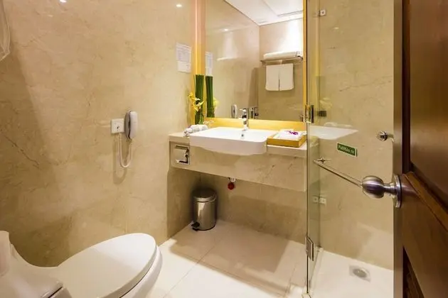 Premium Tek Büyük Yataklı Oda, Şehir Manzaralı
