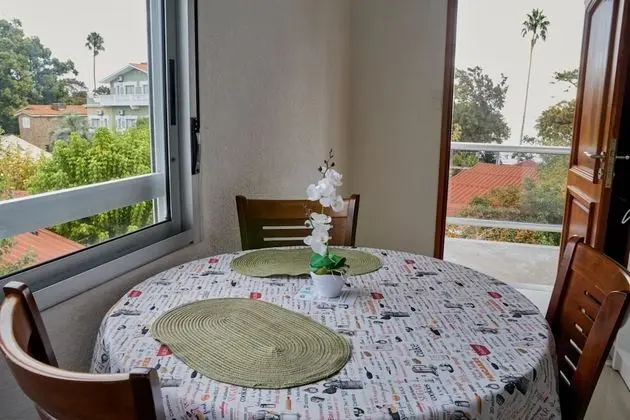 Çatı Katı (Loft)