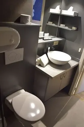 Standard Tek Büyük veya İki Ayrı Yataklı Oda, Şehir Manzaralı