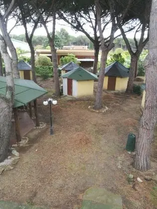 Economy Tek Büyük veya İki Ayrı Yataklı Oda