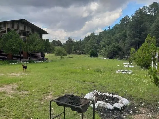Ortak Ranzalı Oda, 4 Yatak Odası, Balkon